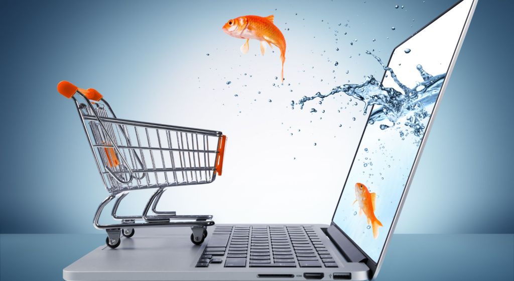 Ready-to-Sell-Online-How-to-Set-Up-Your-Ecommerce-Business.jpg September 26, 2023