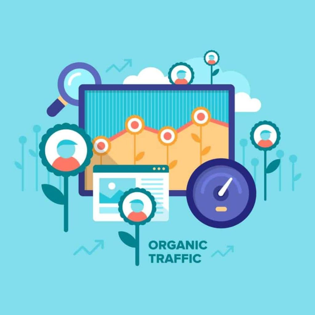 A Comprehensive Guide to Choosing Between Organic and Paid Search