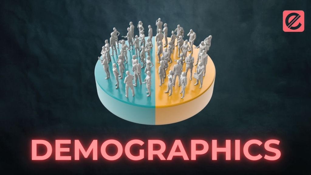 Demographics: How to Make the Most of Your Data