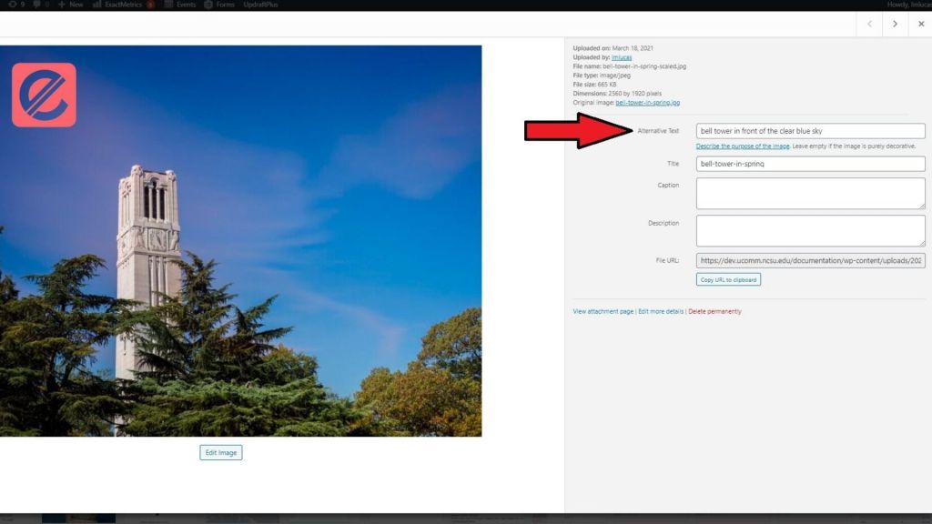 How to Add Alt-Text to Images for Accessibility