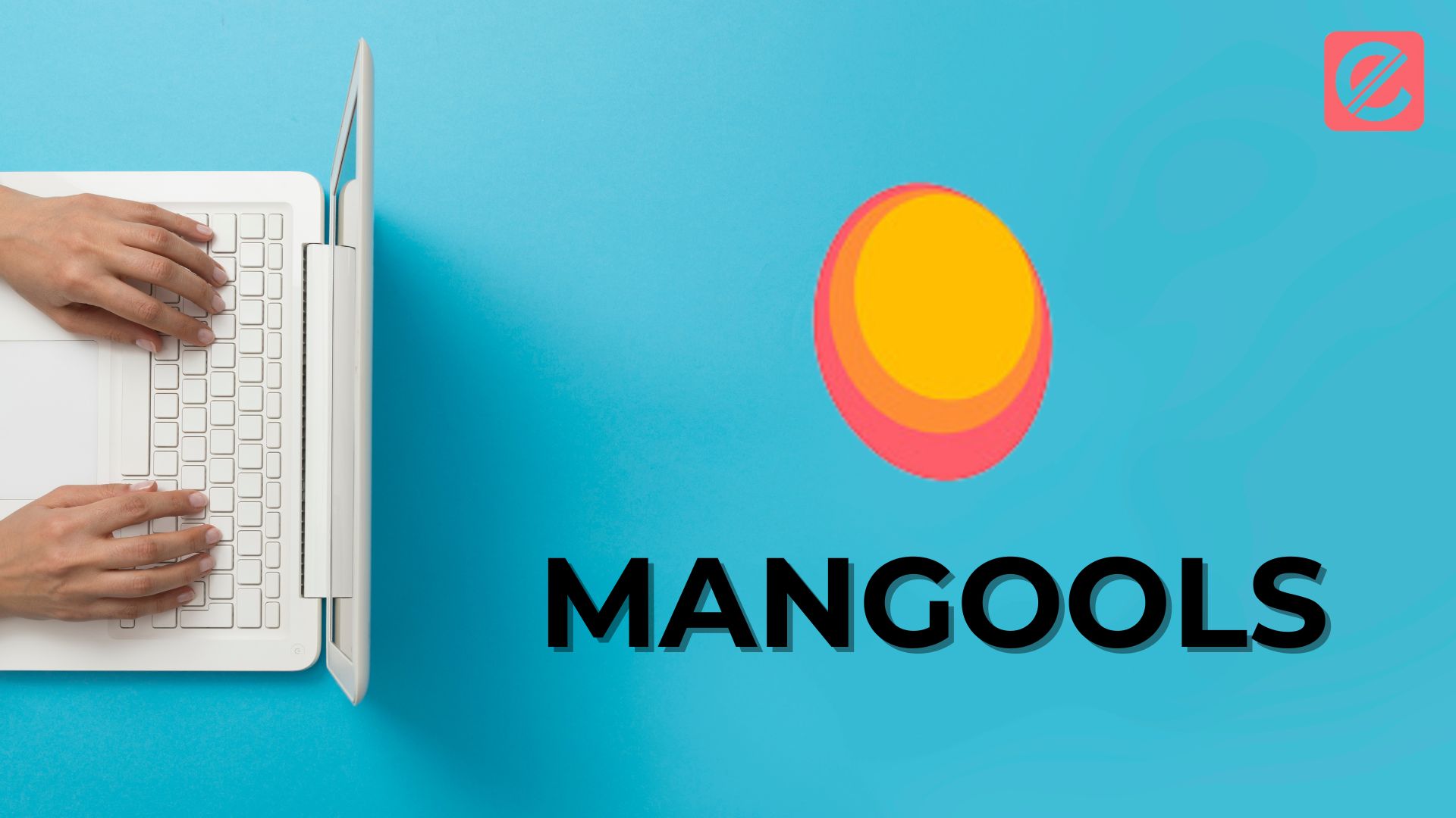Boost Your Online Presence: How to Use Mangools Effectively