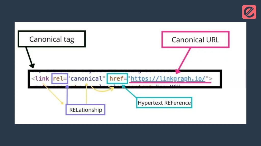 why-should-websites-use-canonical-tags