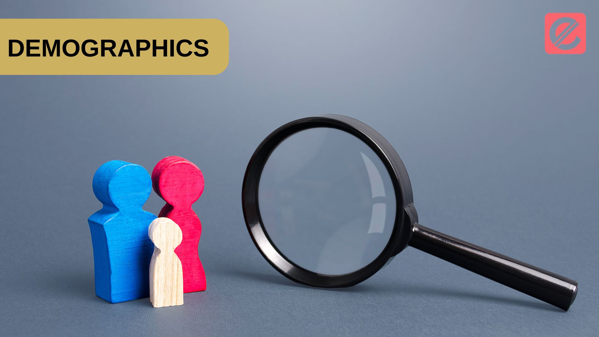 Why Demographics Matter in Marketing