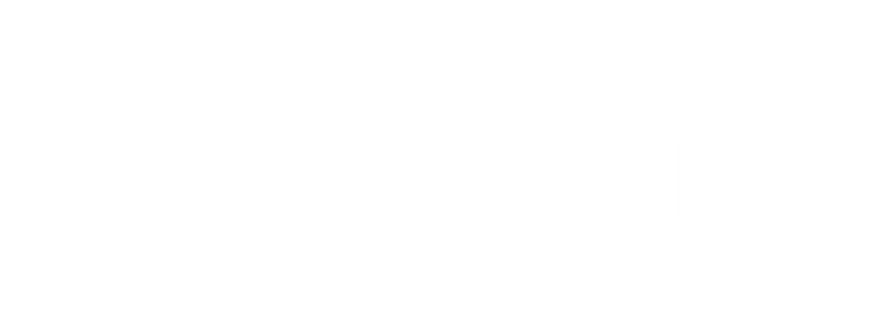 Gemini logo: a white star-like symbol next to the word Gemini on a black background.